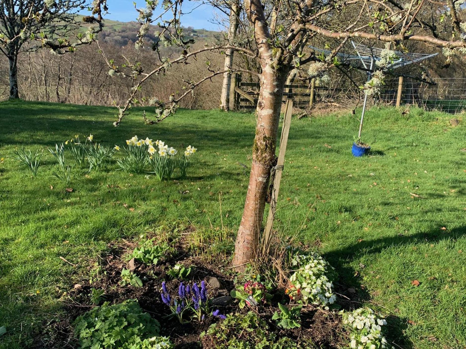 Beudy Dolpebyll Villa Llangadfan ภายนอก รูปภาพ