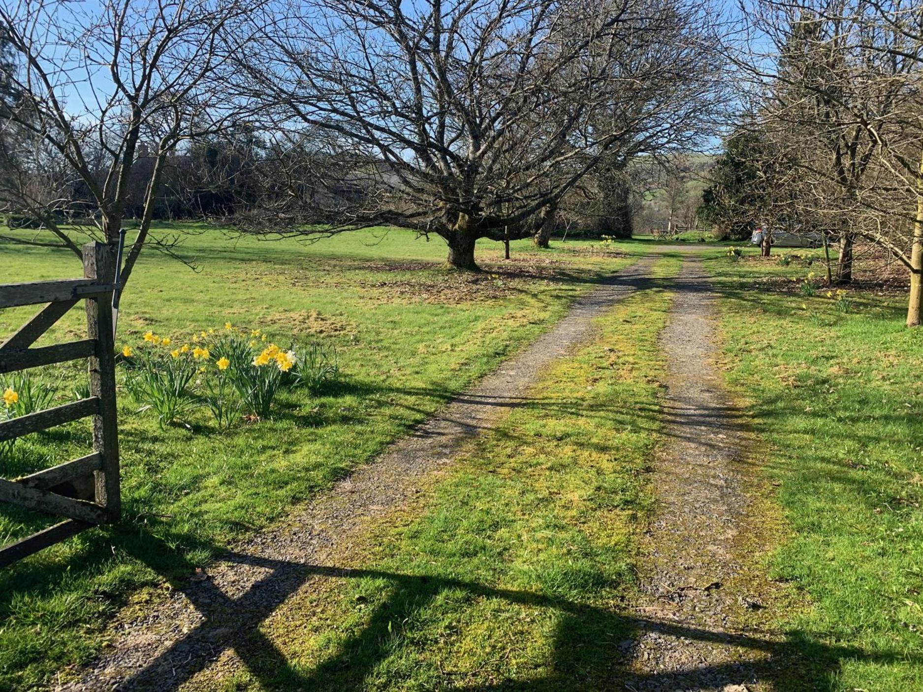 Beudy Dolpebyll Villa Llangadfan ภายนอก รูปภาพ