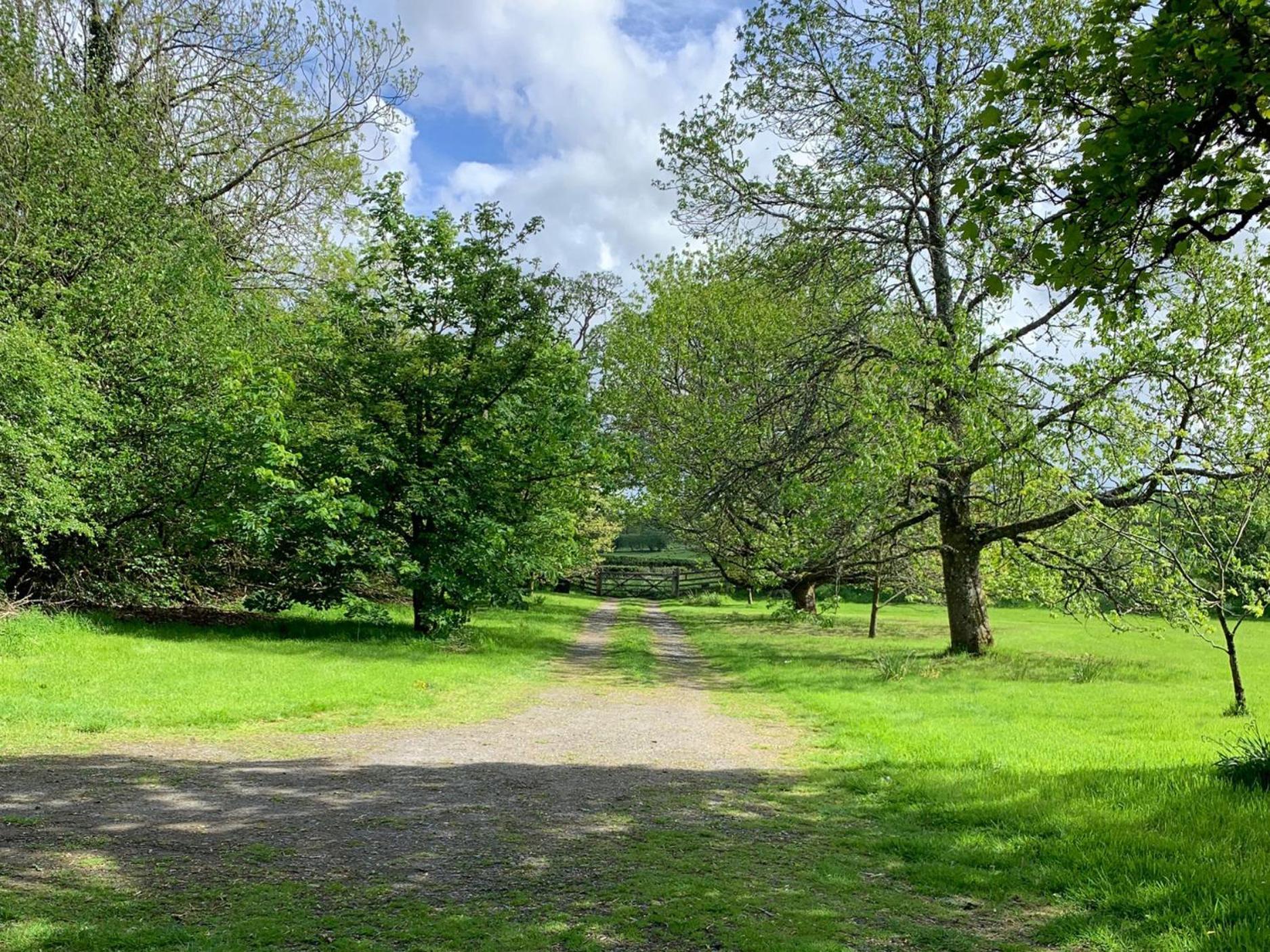 Beudy Dolpebyll Villa Llangadfan ภายนอก รูปภาพ